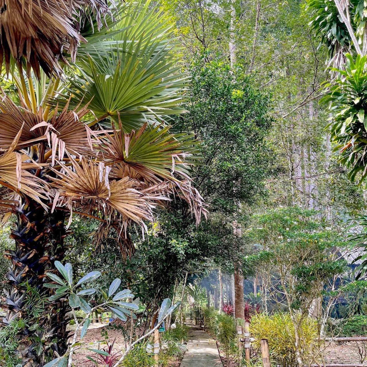 Khao Sok Green Mountain View Khao Sok National Park Εξωτερικό φωτογραφία