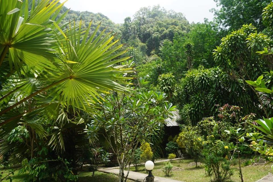 Khao Sok Green Mountain View Khao Sok National Park Εξωτερικό φωτογραφία