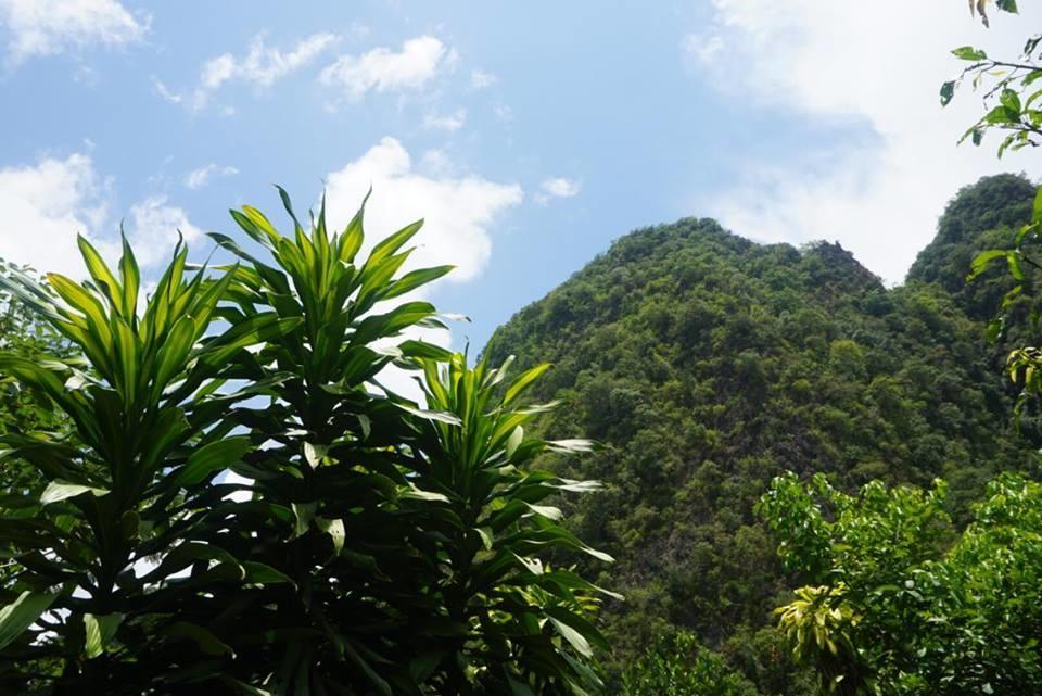 Khao Sok Green Mountain View Khao Sok National Park Εξωτερικό φωτογραφία