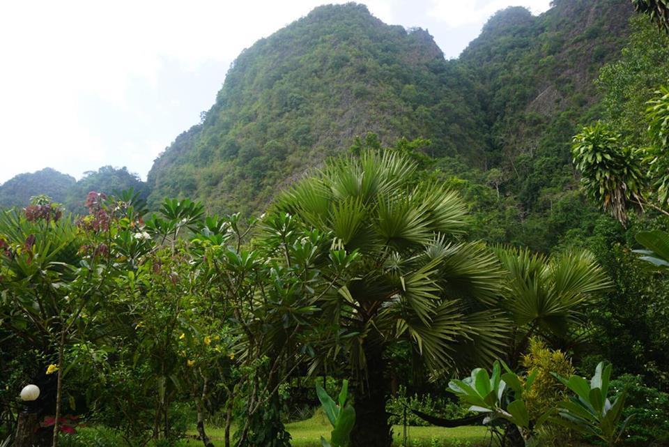 Khao Sok Green Mountain View Khao Sok National Park Εξωτερικό φωτογραφία